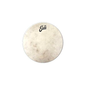 EVANS ( �G�o���X ) / TT12C7�@�J�[�t�g�[�� 12�C���`�ċx�X�y�V����