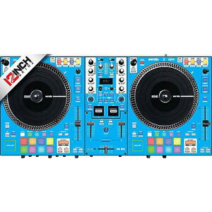 12inch SKINZ / Rane One MK2 Skinz Cgu[ 1䕪 - Rane One MK2pXLubNtCf[