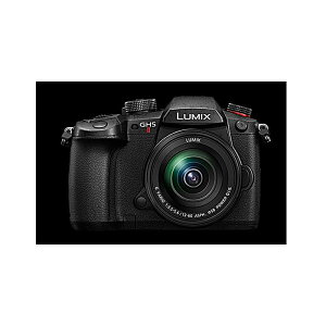 Panasonic(�p�i�\�j�b�N) / LUMIX DC-GH5M2M �����Y�L�b�g