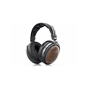 FiiO(�t�B�[�I) / FT1 Black