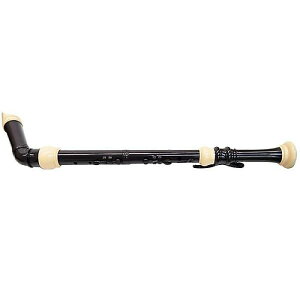 PLAYTECH ( �v���C�e�b�N ) / PTRB-200 �o�X���R�[�_�[�ċx�X�y�V����