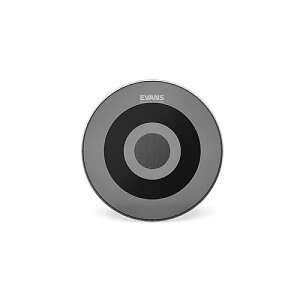 EVANS ( �G�o���X ) / BD22DB1�@dB One 22�C���`�ċx�X�y�V����