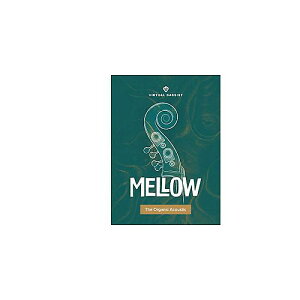 UJAM ( ���[�W���� ) / Virtual Bassist Mellow�ċx�݃Z�[��