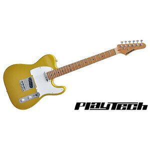 PLAYTECH ( vCebN ) / TL280 Gold@yJ[{iCYhECvlbNzċx݃Z[