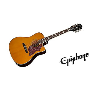 Epiphone(�G�s�t�H��) / Hummingbird Studio EC Natural