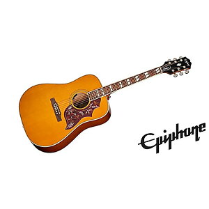 Epiphone(�G�s�t�H��) / Hummingbird Studio Natural