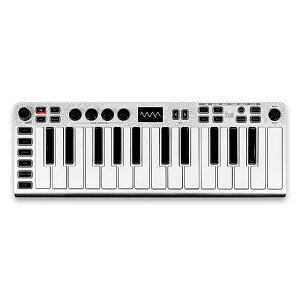 ESI Audiotechnik(�C�[�G�X�A�C �I�[�f�B�I�e�N�j�N) / Xsynth / 25���V���Z�T�C�U�[ �X�^�[�L�[�{�[�h���I�[�f�B�I/MIDI�C���^�[�t�F�[�X�V��������