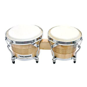 PLAYTECH ( �v���C�e�b�N ) / DBO110�@�{���S�ċx�X�y�V����
