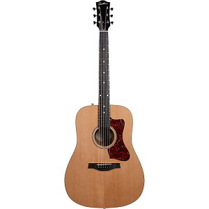 Godin(�S�_��) / Century Maho Nat EQ �G���A�R�V��������