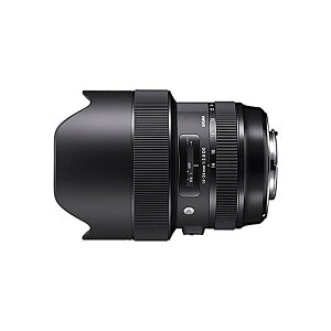 SIGMA ( �V�O�} )(�V�O�}) / Art 14-24mm F2.8 DG HSM Nikon F�}�E���g�p