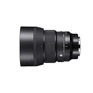 SIGMA ( �V�O�} )(�V�O�}) / Art 85mm F1.4 DG DN Leica-L�}�E���g�p