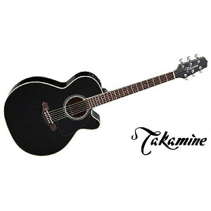 TAKAMINE ( ^J~l ) / FPT561C BLċx݃Z[