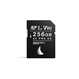 ANGELBIRD(�G���W�F���o�[�h) / AV PRO SD MK2 256 GB V90
