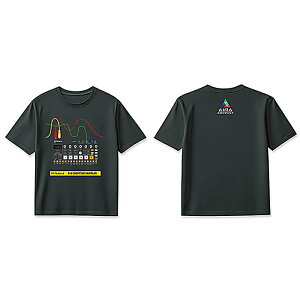 ROLAND(���[�����h) / P-6 T-Shirts DesignA L