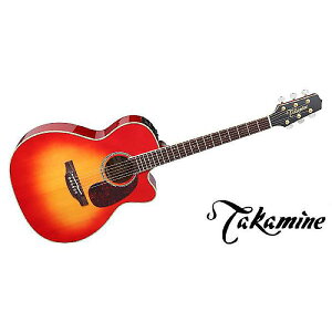 TAKAMINE ( ^J~l ) / FPT752C CYSċx݃Z[