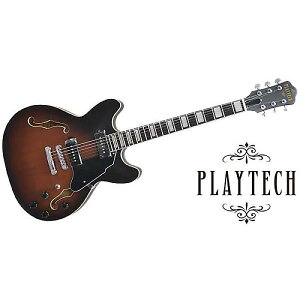 PLAYTECH ( vCebN ) / SA20 Sunburstċx݃Z[