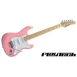 PLAYTECH ( vCebN ) / ST250 Maple Pinkċx݃Z[