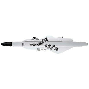 ROLAND ( [h ) / AE-20W Aerophone GAtH zCgċxXyV