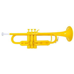 PLAYTECH ( �v���C�e�b�N ) / PTTR-050YL �v���X�`�b�N�g�����y�b�g �C�G���[�ċx�X�y�V����