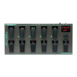 NEKTAR ( ネクター ) / PACER夏休みセール