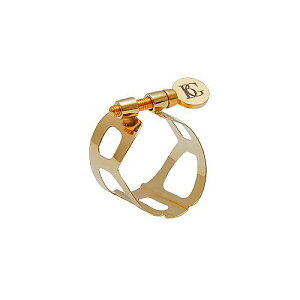 BG ( r[W[ ) / L51 \vmTbNXK`[ gfBV GPċx݃Z[