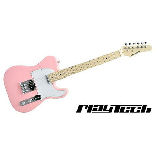 PLAYTECH ( vCebN ) / TL250 Maple Pinkċx݃Z[