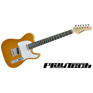 PLAYTECH ( vCebN ) / TL250 Rose Goldċx݃Z[