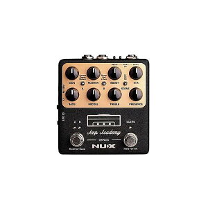 NUX ( j[GbNX ) / Amp Academyċx݃Z[