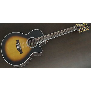 TAKAMINE ( ^J~l ) / PTU141C-12 TBS@12M^[ċx݃Z[