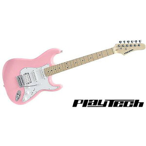 PLAYTECH ( vCebN ) / ST250SSH Maple Pinkċx݃Z[