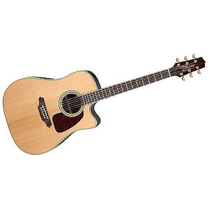 TAKAMINE ( ^J~l ) / PTU241C Nċx݃Z[