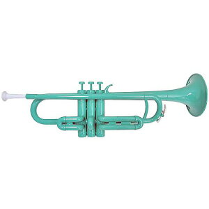 PLAYTECH ( vCebN ) / PTTR-050GR vX`bNgybg O[ċxXyV