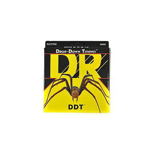 DR ( �f�B�[�A�[�� ) / DDT5-40 Drop Down Tuning 5-String Light 40-120�ċx�݃Z�[��