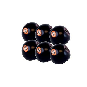 REMO ( ���� ) / SC-PLUM-06-�ċx�X�y�V����