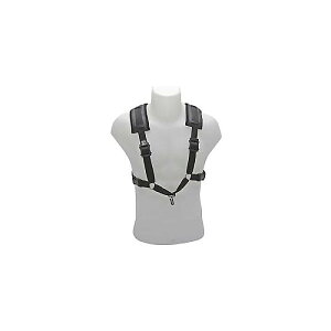 BG ( r[W[ ) / S419CM TbNXXgbv RtH[gEn[lX bhċx݃Z[