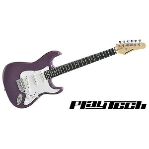 PLAYTECH ( vCebN ) / ST250 Rose Purpleċx݃Z[