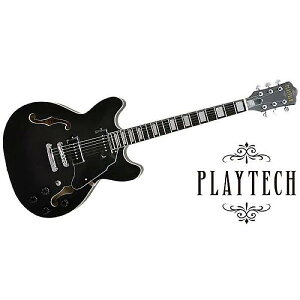 PLAYTECH ( vCebN ) / SA20 Blackċx݃Z[