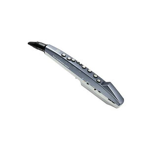 ROLAND ( ローランド ) / AE-01 Aerophone mini エアロフォン・ミニ夏休スペシャル