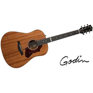 GODIN GUITAR ( S_M^[ ) / Metropolis Composer LR Baggs Elementċx݃Z[