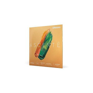 DADDARIO ( �_�_���I ) / A411 MM Ascente �r�I���� A�� Medium Scale Medium�ċx�X�y�V����
