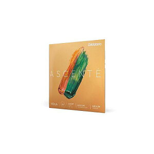 DADDARIO ( �_�_���I ) / A411 SM Ascente �r�I���� A�� Short Scale Medium�ċx�X�y�V����