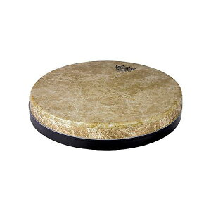 REMO ( ���� ) / TF-1513-S2-SD099�@���@�[�T�w�b�h�ċx�X�y�V����
