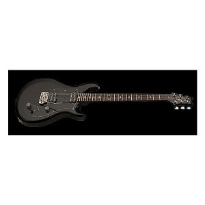 Paul Reed Smith (PRS) ( |[[hX~X ) / S2 Standard 24 Blackċx݃Z[