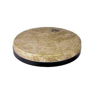REMO ( ���� ) / TF-2013-S2-SD099�@���@�[�T�w�b�h�ċx�X�y�V����