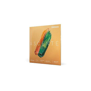DADDARIO ( �_�_���I ) / A412 MM Ascente �r�I���� D�� Medium Scale Medium�ċx�X�y�V����