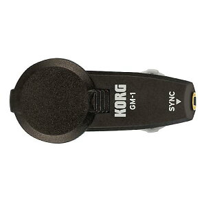 KORG ( RO ) / GM-1 O[vEgm[2pbNċxXyV
