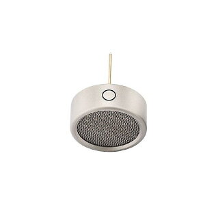 WARM AUDIO ( EH[I[fBI ) / WA-84 Omni Capsule Nickelċx݃Z[