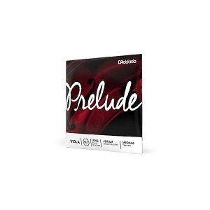 DADDARIO ( __I ) / J910 LM Prelude rIZbg Long Scale Mediumċx݃Z[