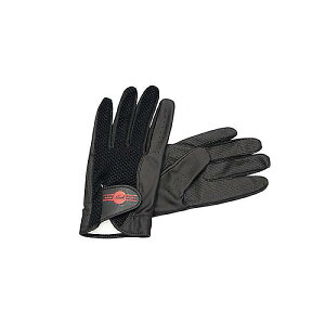 PEARL ( p[ ) / RG-3SN h}[YO[u ubNċxXyV