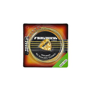 PLAYTECH ( プレイテック ) / AGS-1252 アコースティックギター弦夏休みセール